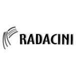 Rădăcini Rădăcini