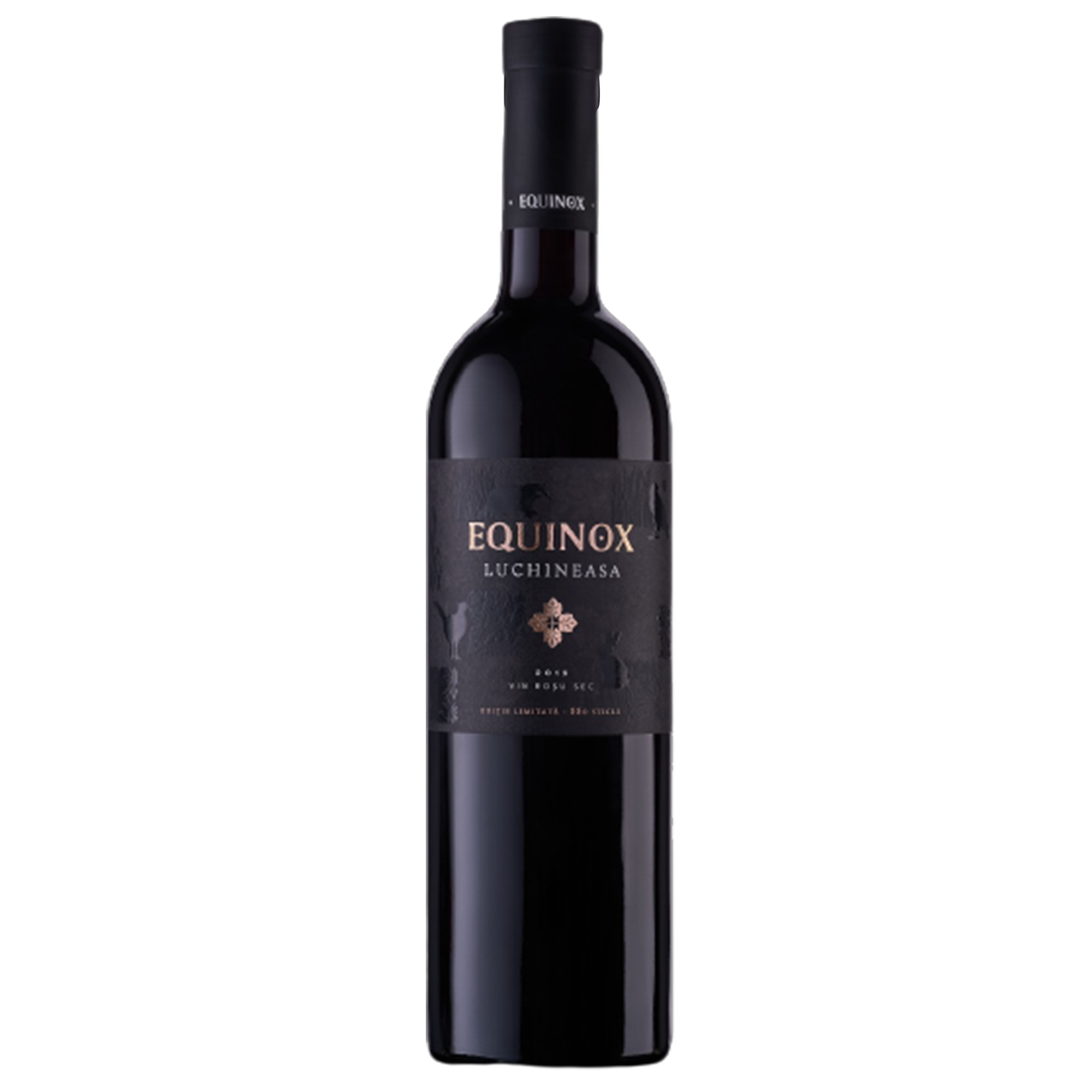 equinox_shitaz_vincuvin