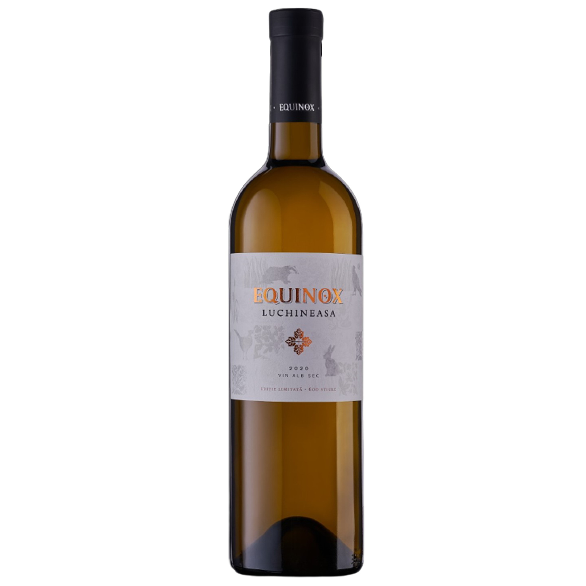 equinox_shitaz_vincuvinss